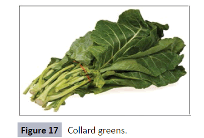 herbal-medicine-Collard-greens