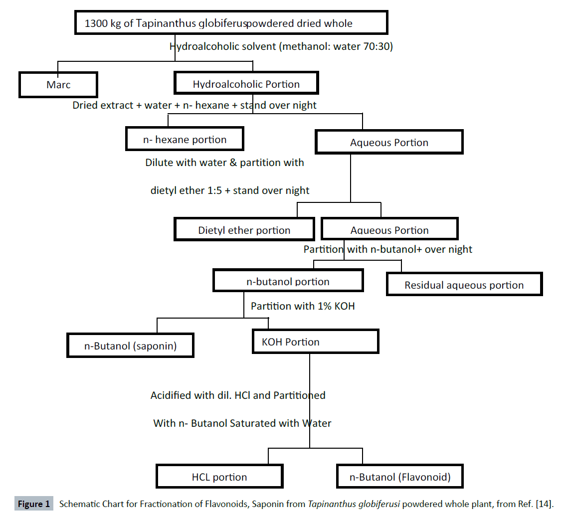 herbal-medicine-Fractionation-Flavonoids