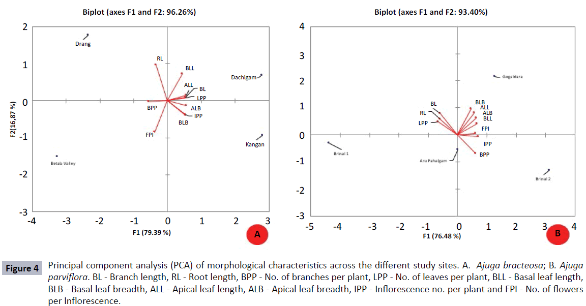 herbal-medicine-Principal-component-analysis