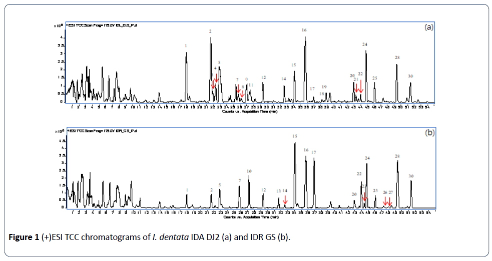 herbal-medicine-TCC-chromatograms