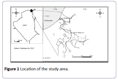 herbal-medicine-location