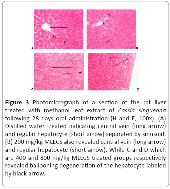 herbal-medicine-methanol-leaf